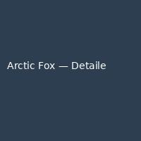 Arctic Fox — Detailed (2)