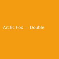 Arctic Fox — Double (4)