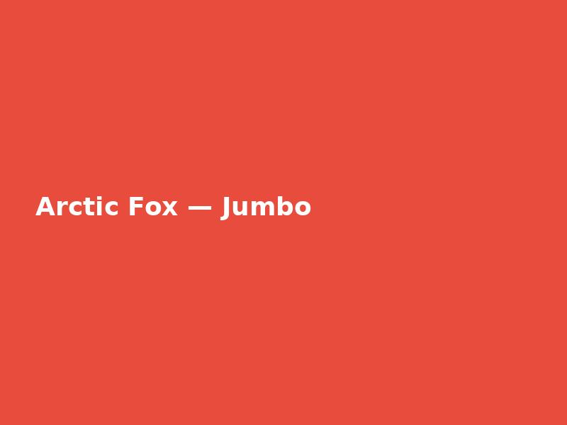 Arctic Fox — Jumbo