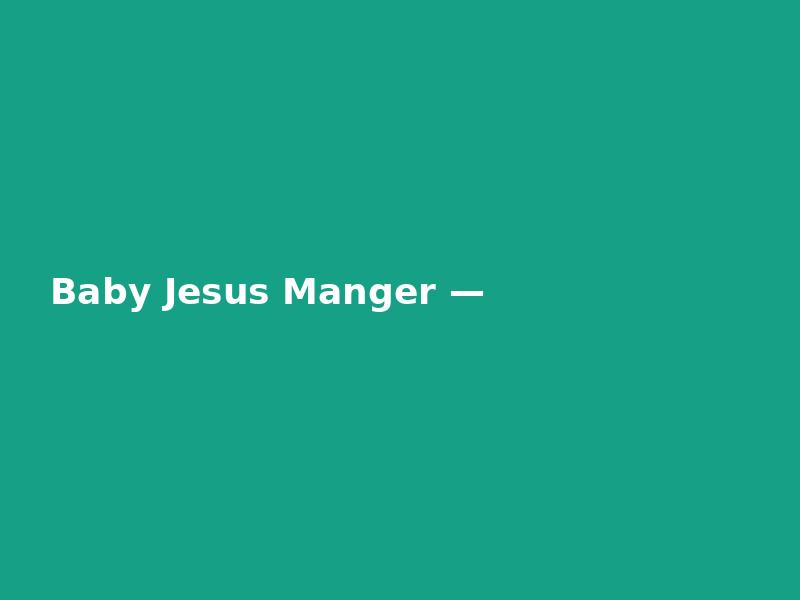 Baby Jesus Manger — Detailed