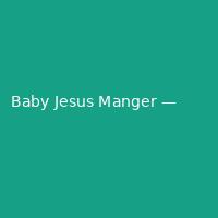 Baby Jesus Manger — Detailed (2)