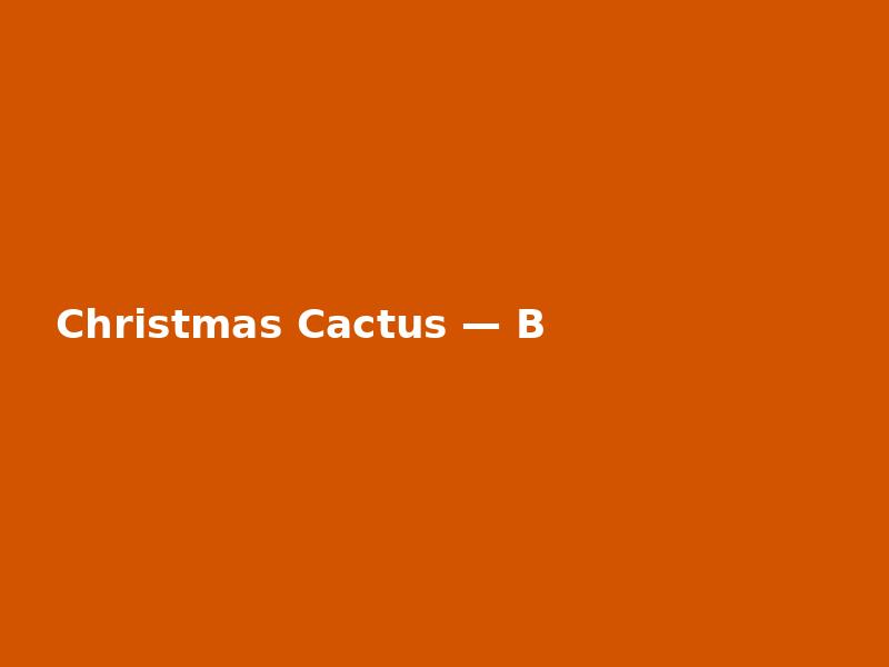 Christmas Cactus — Bold