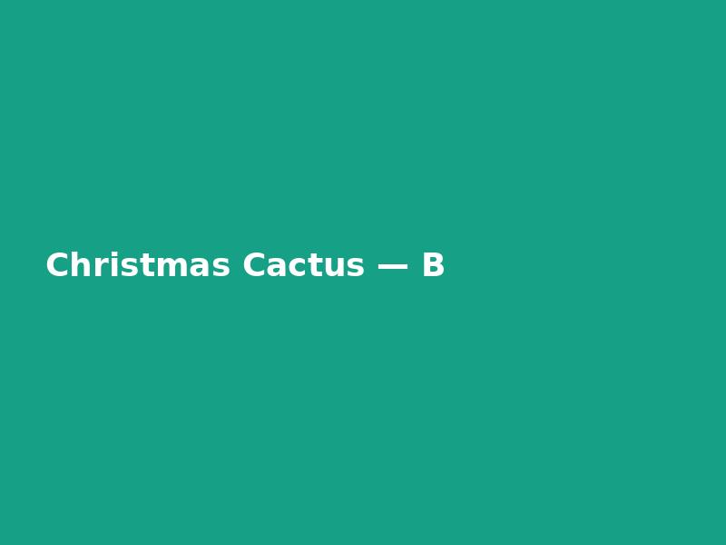 Christmas Cactus — Bold