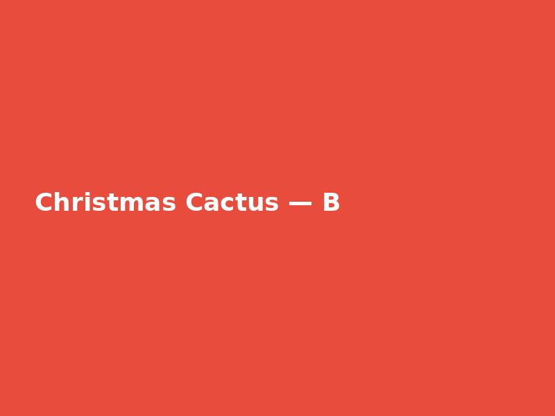 Christmas Cactus — Bold