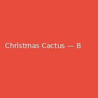 Christmas Cactus — Bold (5)