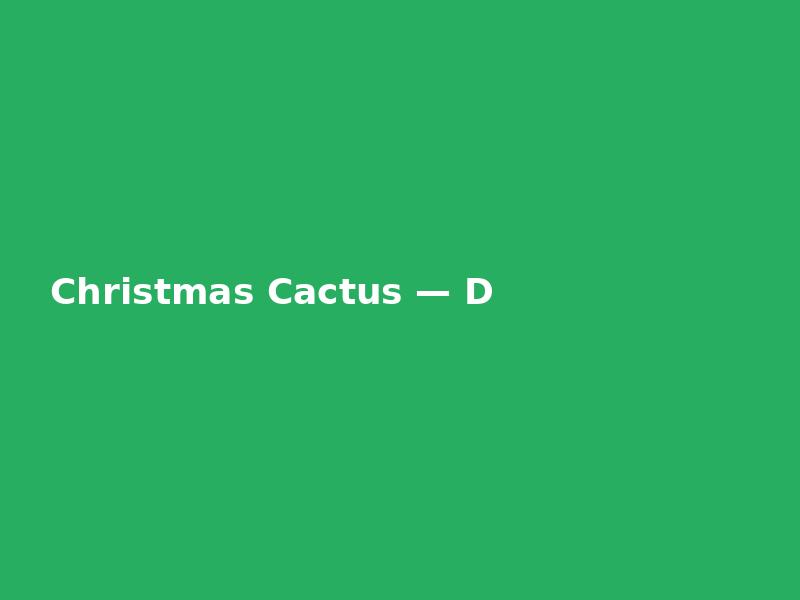 Christmas Cactus — Detailed