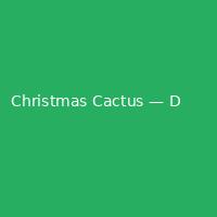Christmas Cactus — Double (3)