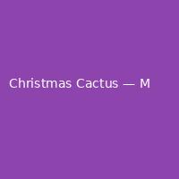 Christmas Cactus — Modern (1)
