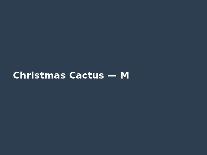 Christmas Cactus — Modern