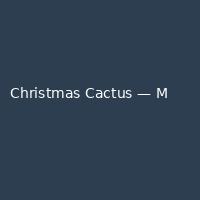 Christmas Cactus — Modern (5)