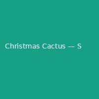 Christmas Cactus — Slim (1)