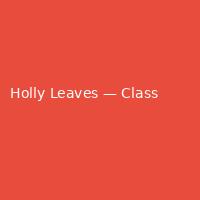Holly Leaves — Classic (3)