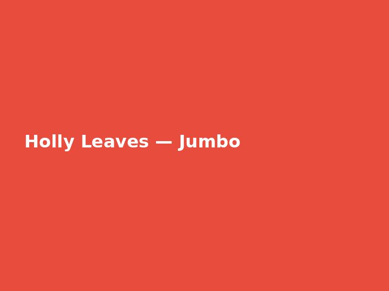 Holly Leaves — Jumbo