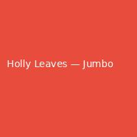 Holly Leaves — Jumbo (1)
