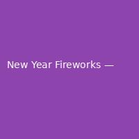 New Year Fireworks — Modern (1)