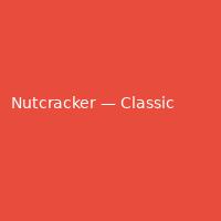Nutcracker — Classic (5)