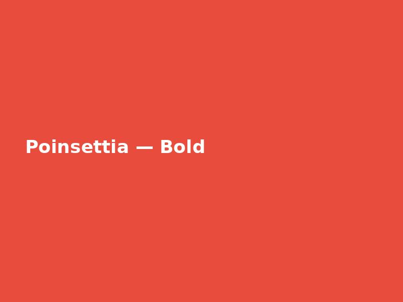 Poinsettia — Bold