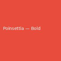 Poinsettia — Bold (3)