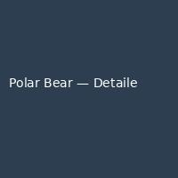 Polar Bear — Detailed (3)